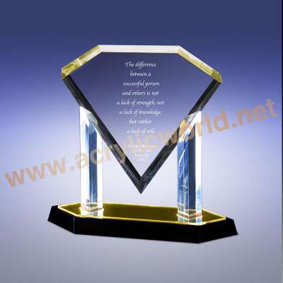 Custom Models Acrylic Trophy, Acrylic Trophy Display, Acrylic Award with logo